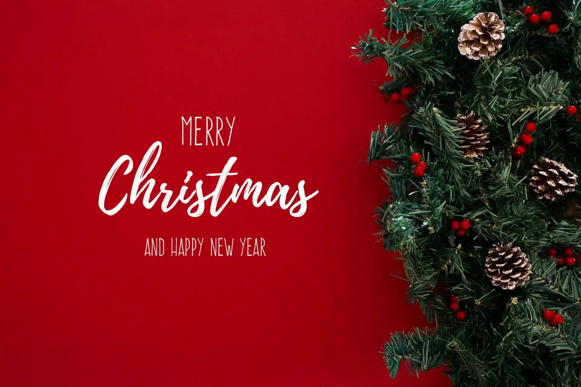 Merry Christmas greeting with a festive tree, celebrating the holiday spirit with Gaia in Love's best toys for women.