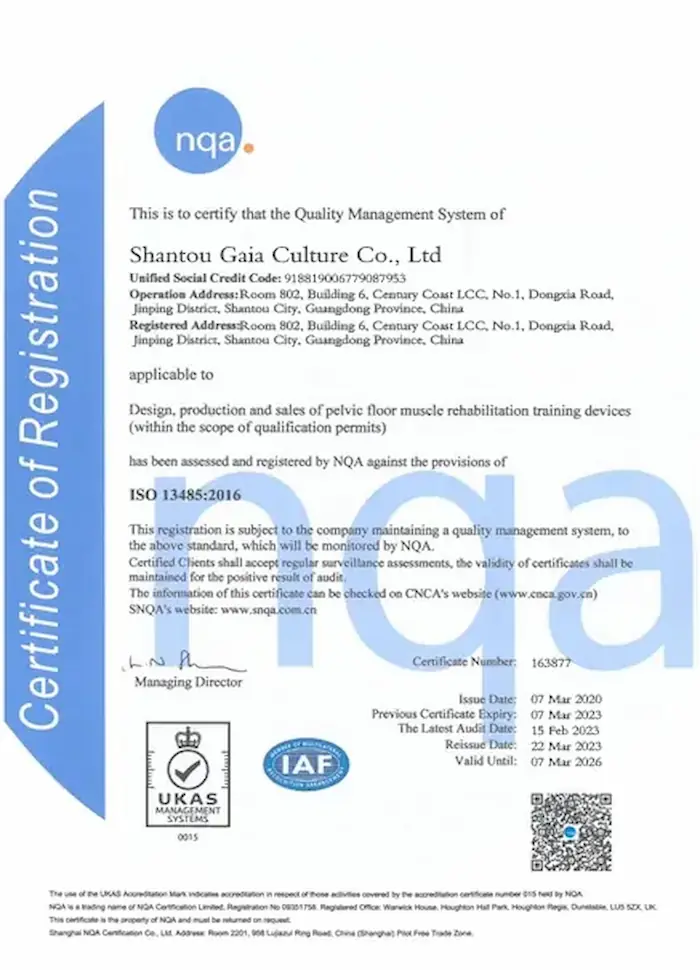 ISO 13485 certification ensuring Gaia in Love adult toys and women toys meet medical device quality management standards.
