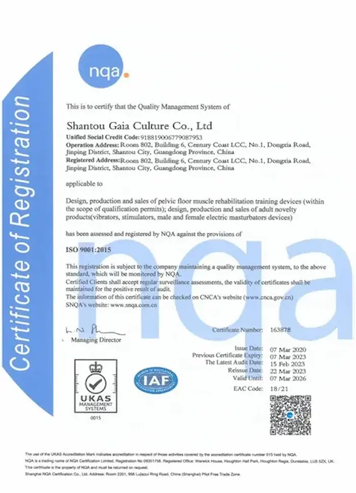 ISO certification proving Gaia in Love adult toys and vibrator for women and women toys meet international production and management standards.